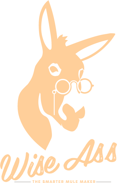 Wise Ass Ginger Beer - The Smarter Mule Maker Wise Ass Ginger Beer - The Smarter Mule Maker