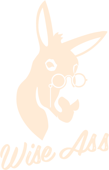 Wise Ass Ginger Beer - The Smarter Mule Maker